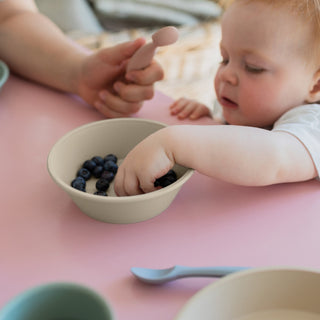 Dinner Set - Sage - Kollektive - Official distributor