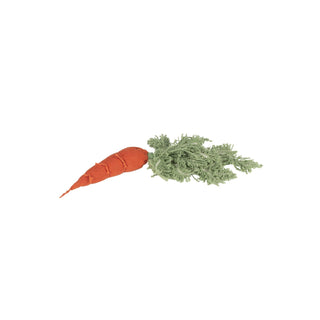 DIY CATHY THE CARROT - Kollektive - Official distributor