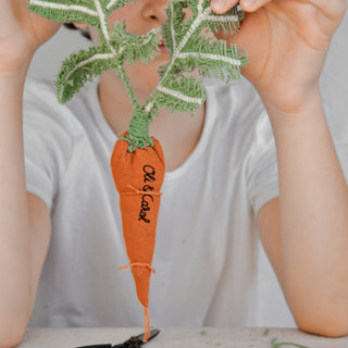DIY CATHY THE CARROT - Kollektive - Official distributor