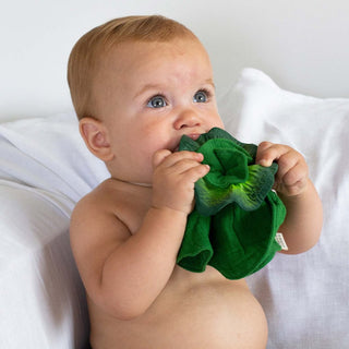 Kendall the Kale Mini Doudou-Teether - Kollektive - Official distributor