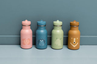 Bottle 350ml - Mr. Triceratops - Kollektive Wholesale Portal