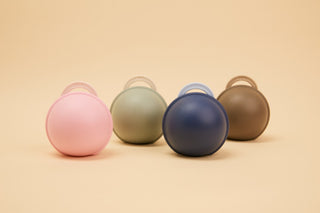 Pacifier Mini Case - Sage (ETA end of Sept)