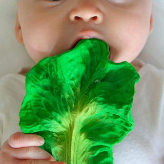 Kendall the Kale - Kollektive - Official distributor