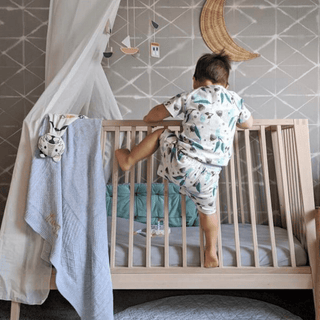 Kippins Banjo Organic Cotton Short PJam - Kollektive Wholesale Portal