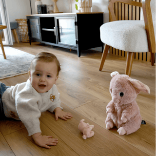 Les Ptipotos  Barbekiou the Pig, Mum & Baby - Kollektive - Official distributor