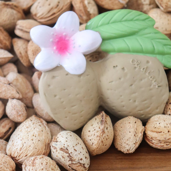 ALY THE ALMOND - Kollektive - Official distributor