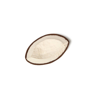 Coco the Coconut - Kollektive - Official distributor
