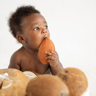 Coco the Coconut - Kollektive - Official distributor