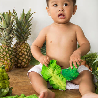 Kendall the Kale - Kollektive - Official distributor