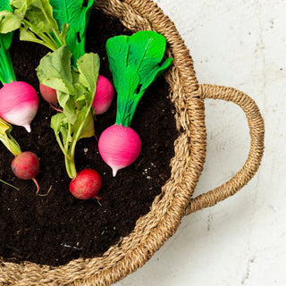 Ramona the Radish - Kollektive - Official distributor
