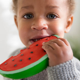 Wally the Watermelon - Kollektive - Official distributor