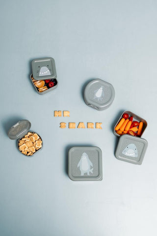Snack box with clip - 2pcs - Mr. Shark (ETA Late August) - Kollektive Wholesale Portal