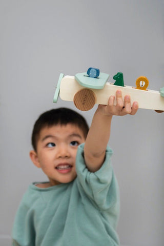 Wooden animal airplane - Kollektive - Official distributor