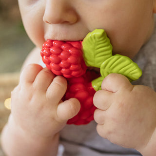 Valery the Raspberry - Kollektive - Official distributor