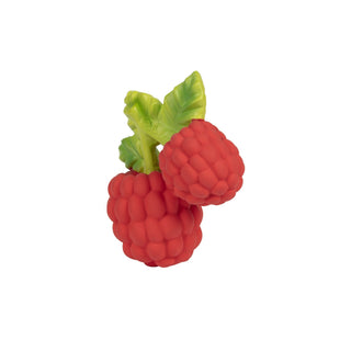 Valery the Raspberry - Kollektive - Official distributor