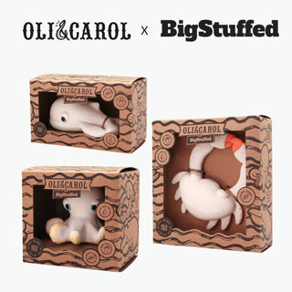 Oli&Carol x Big Stuffed starter pack - Kollektive Wholesale Portal